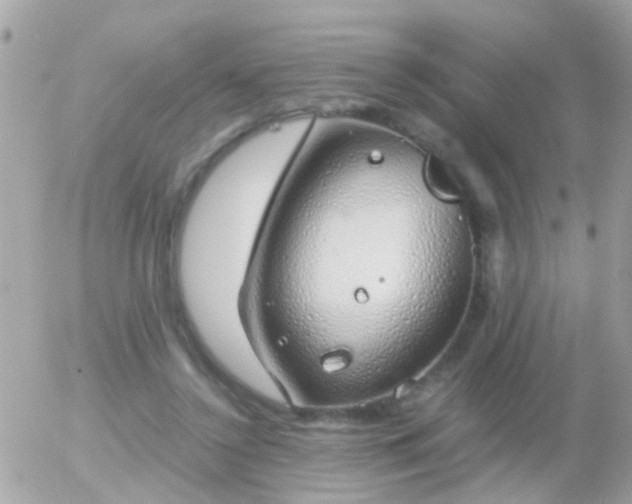 X0000056030356200508261912