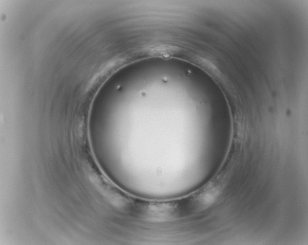 X0000056030357200508261912