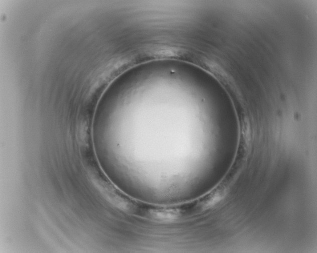 X0000056030359200508261912