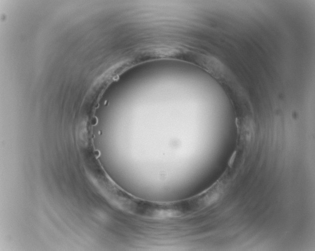 X0000056030360200508261912