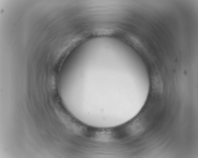 X0000056030362200508261912