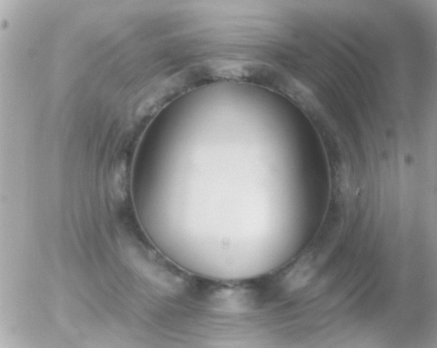 X0000056030364200508261912