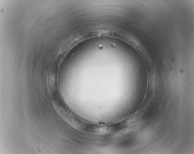 X0000056030365200508261912