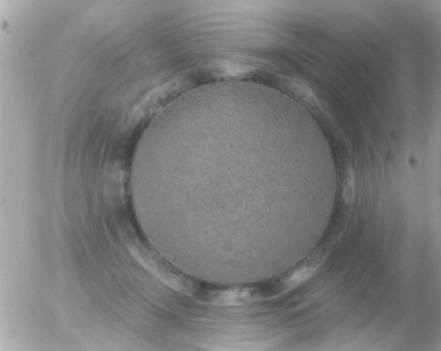 X0000056030366200508261912