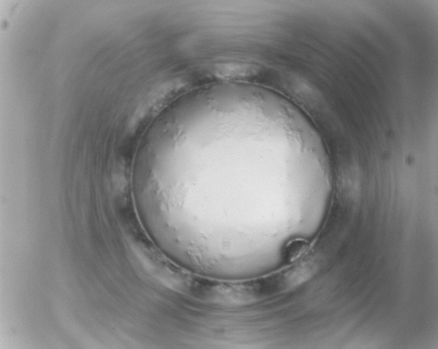 X0000056030367200508261912