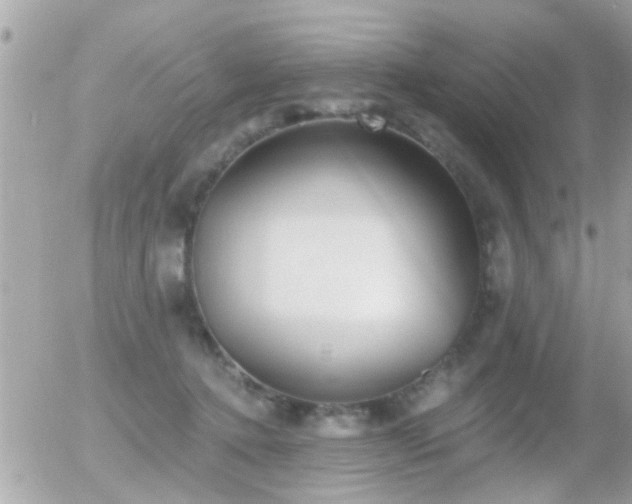 X0000056030368200508261913