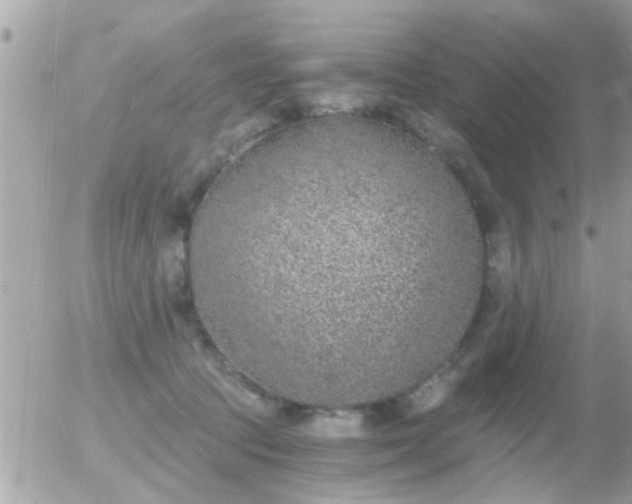 X0000056030369200508261913