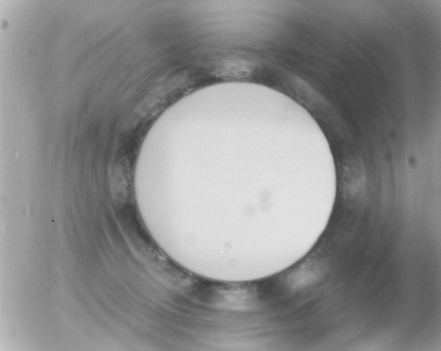 X0000056030370200508261913