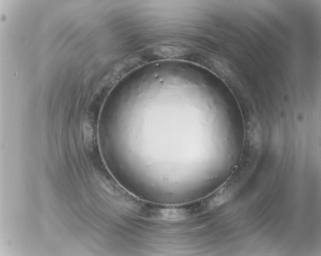 X0000056030371200508261913