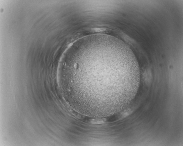 X0000056030373200508261913