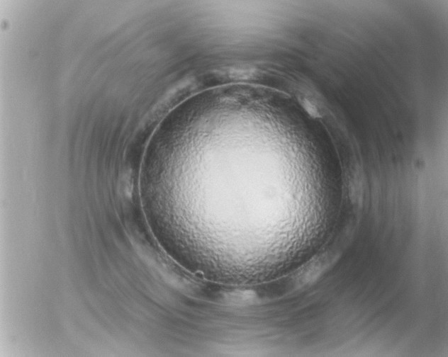 X0000056030374200508261913