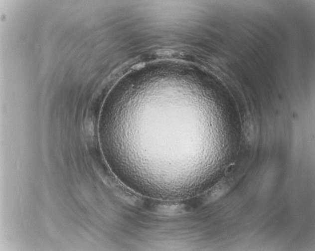 X0000056030375200508261913