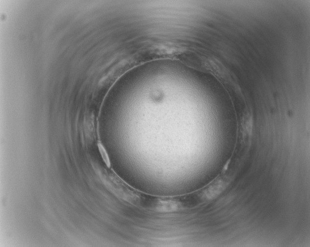 X0000056030376200508261913