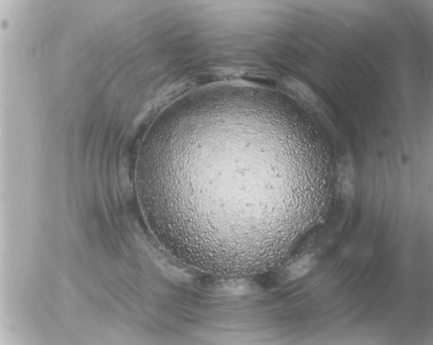 X0000056030377200508261913