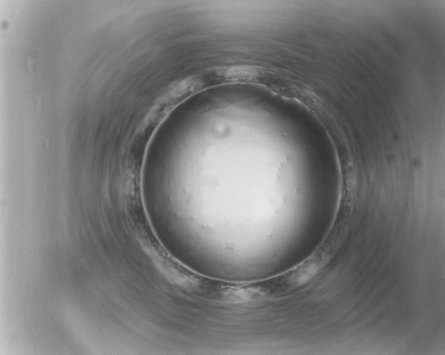 X0000056030379200508261913