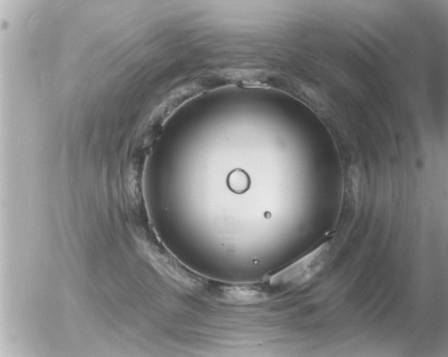 X0000056030380200508261913