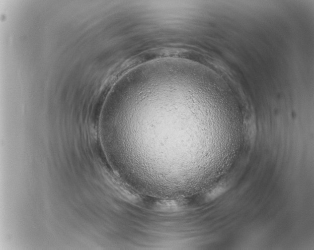 X0000056030381200508261913