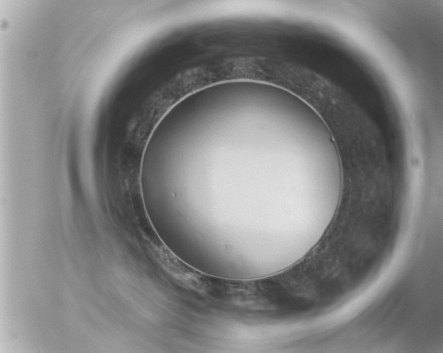 X0000056030382200508261913