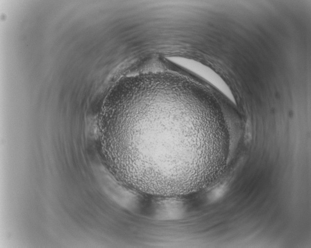 X0000056030383200508261913