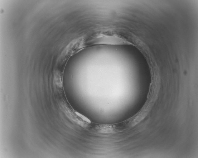 X0000056030384200508261913