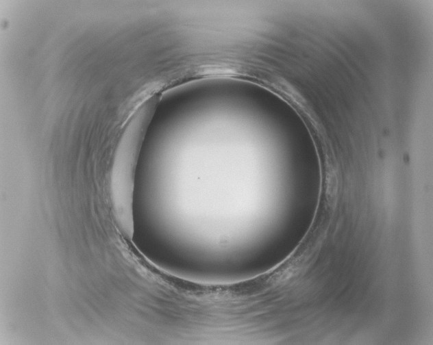 X0000056030385200508261912