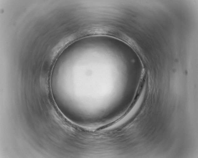 X0000056030386200508261912