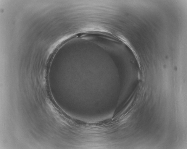 X0000056030387200508261912