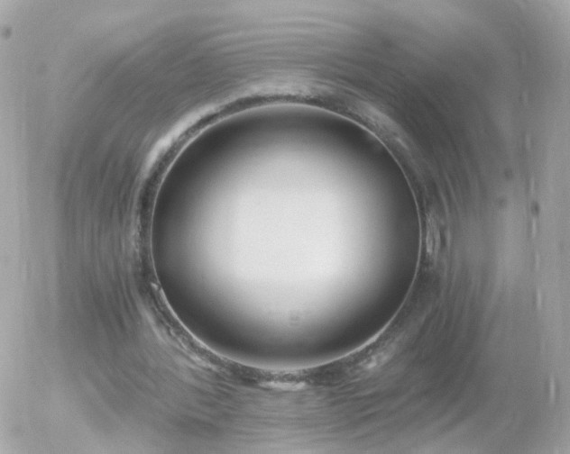 X0000056030388200508261912