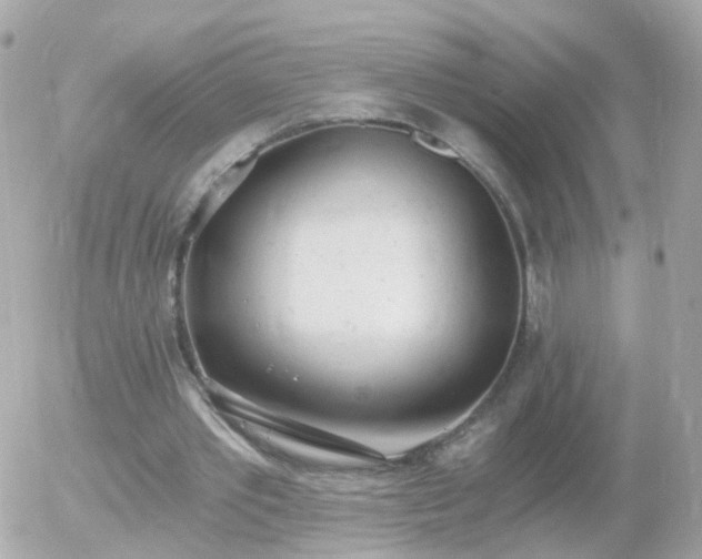 X0000056030389200508261912