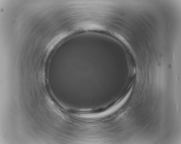 X0000056030391200508261912