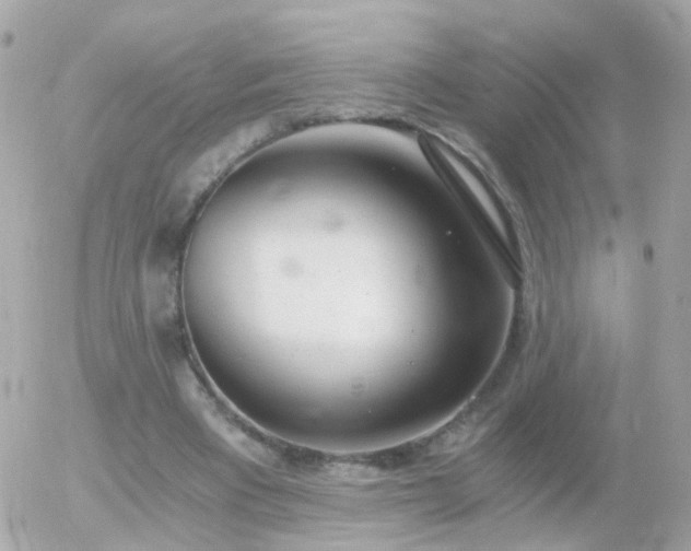 X0000056030393200508261912