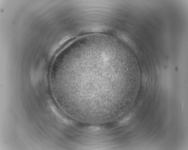 X0000056030394200508261912