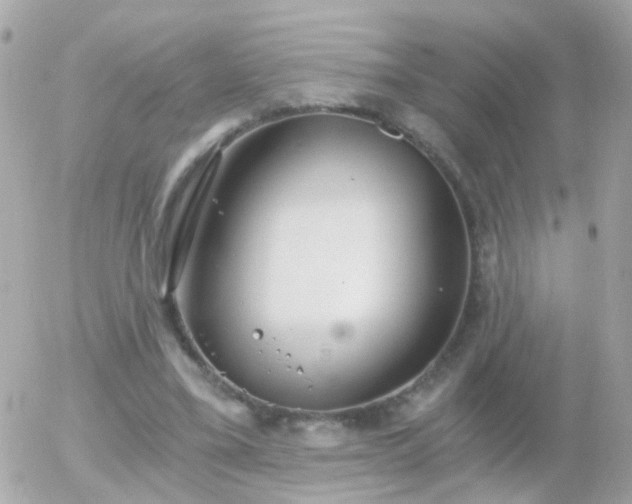 X0000056030395200508261912