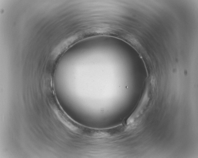 X0000056030397200508261912