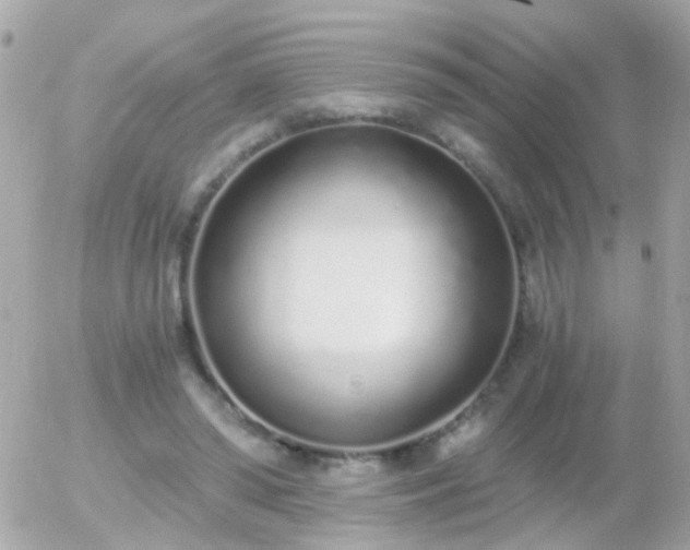 X0000056030398200508261912