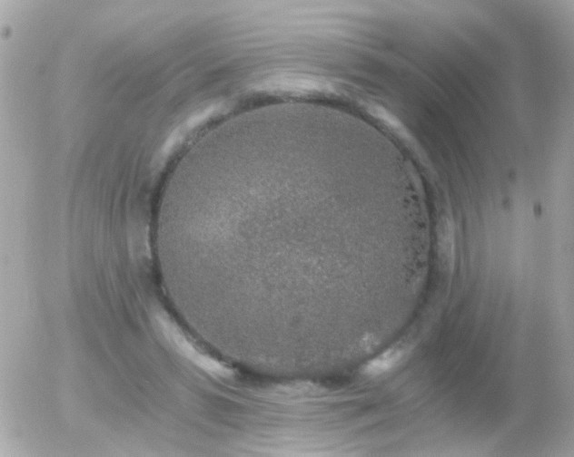 X0000056030399200508261912