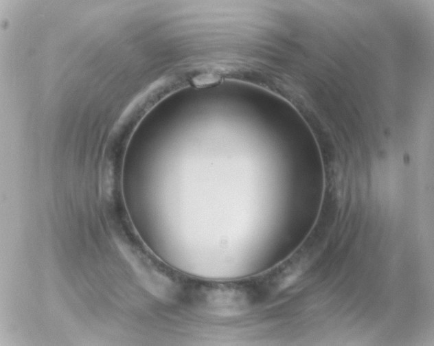 X0000056030400200508261912