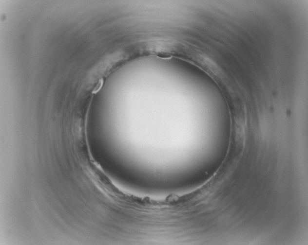 X0000056030401200508261912