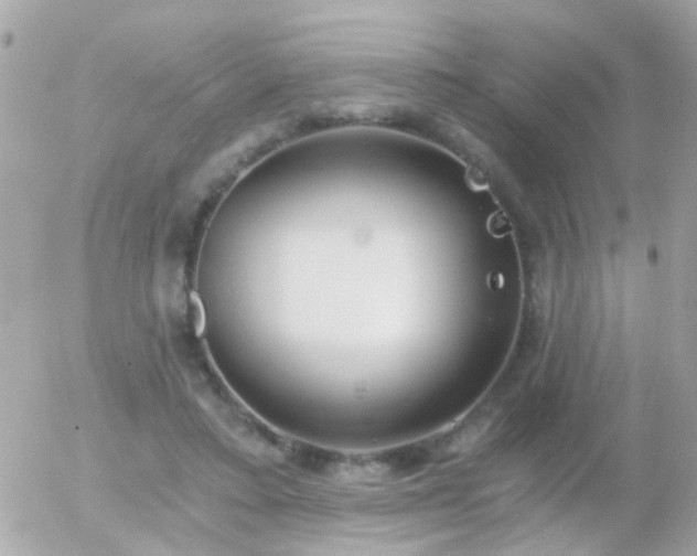 X0000056030403200508261912