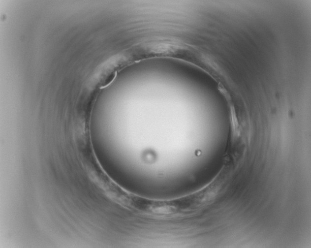 X0000056030407200508261912