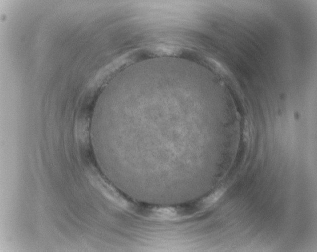 X0000056030409200508261912