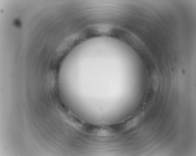 X0000056030412200508261912