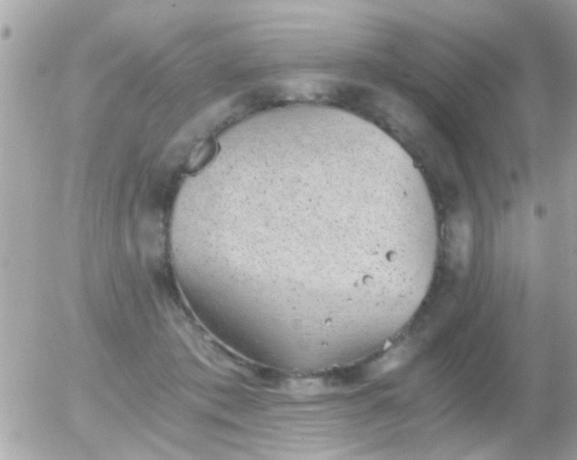 X0000056030413200508261912