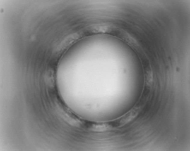 X0000056030414200508261911