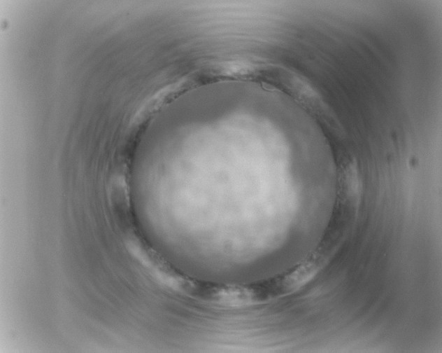 X0000056030415200508261911