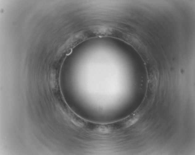 X0000056030416200508261911