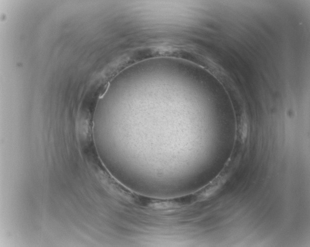 X0000056030417200508261911