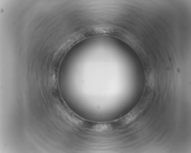 X0000056030418200508261911