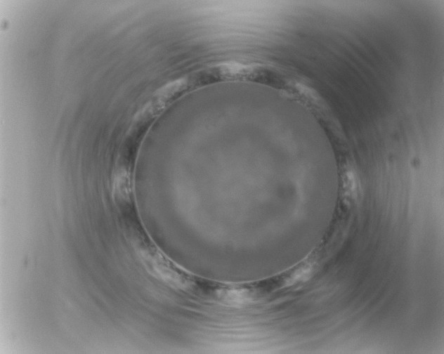 X0000056030419200508261911