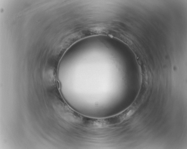 X0000056030420200508261911